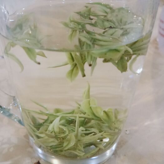 思南县绿茶 白茶