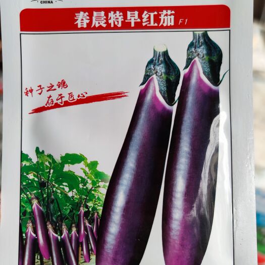 茄子种子  种都高科春晨特早红茄种子，8克，