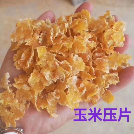 平山县压片玉米 玉米压片