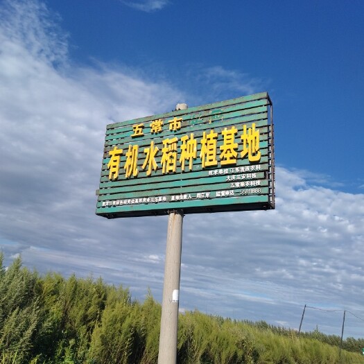 五常市纯稻花香大米 黑龙江省哈尔滨市五常市 粳米 一等品 晚稻 