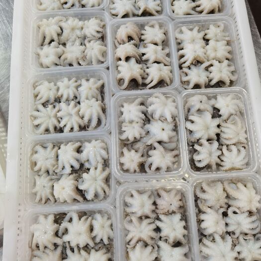 东山县金钩八爪鱼,小章鱼,电商专用200g～400g！