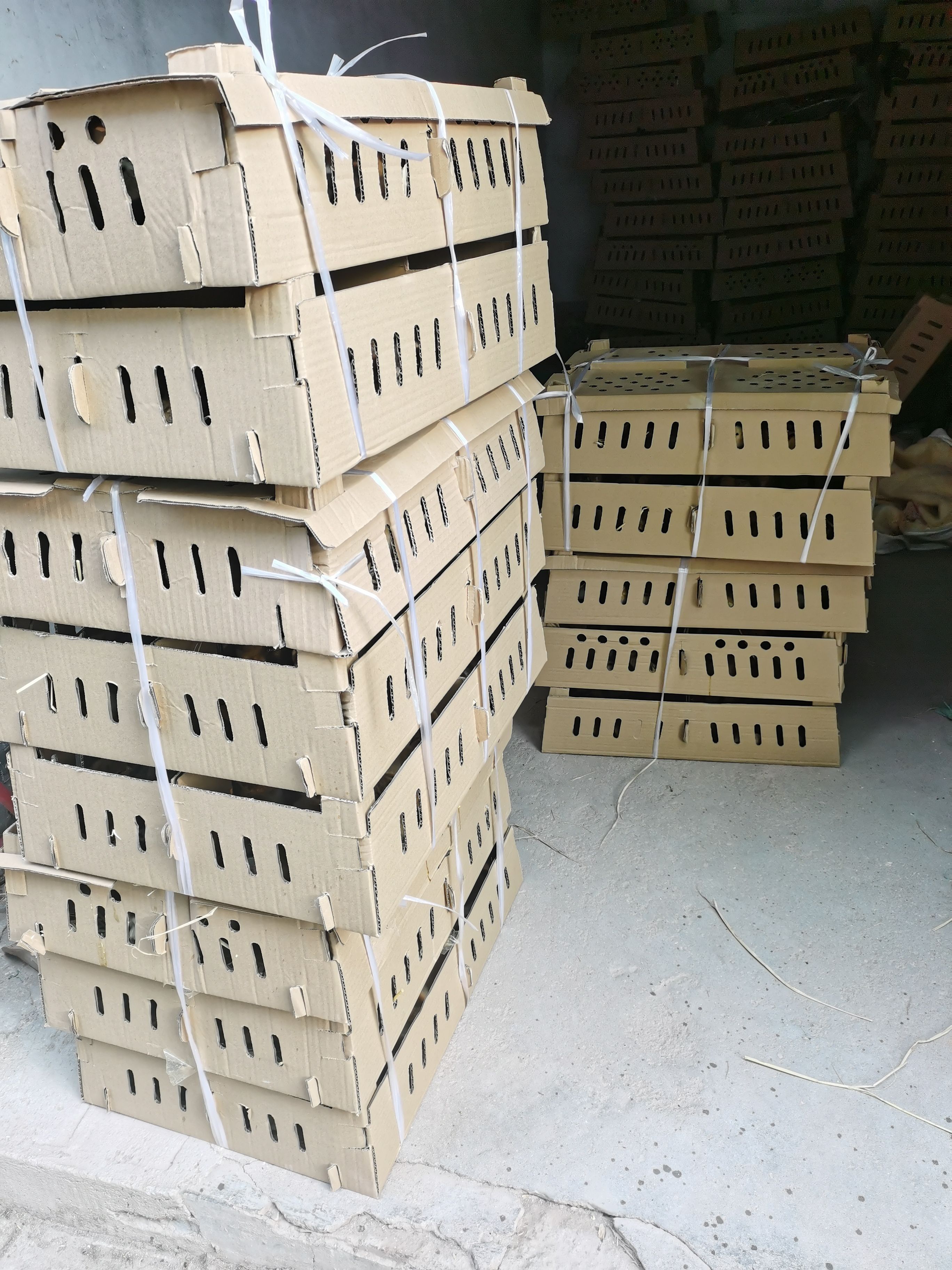 黑芦花鸡苗 芦花鸡苗质量好纯芦花鸡苗包打疫苗