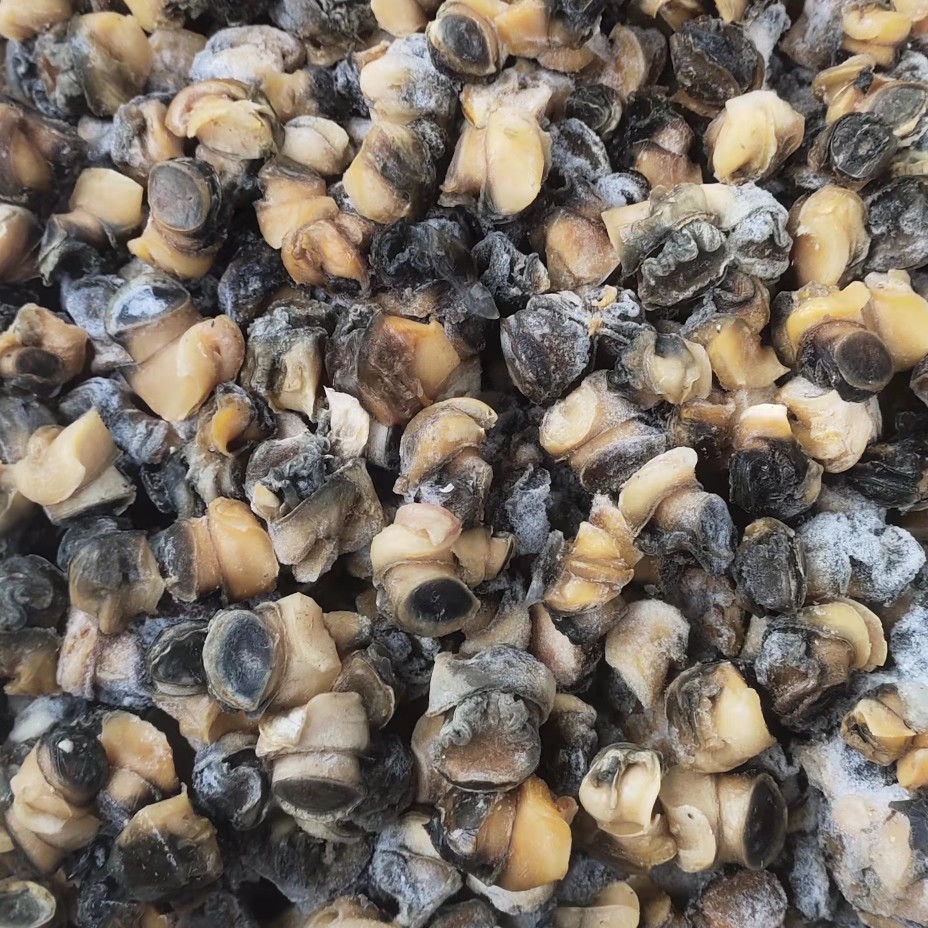 田螺肉石螺肉现货品质保证