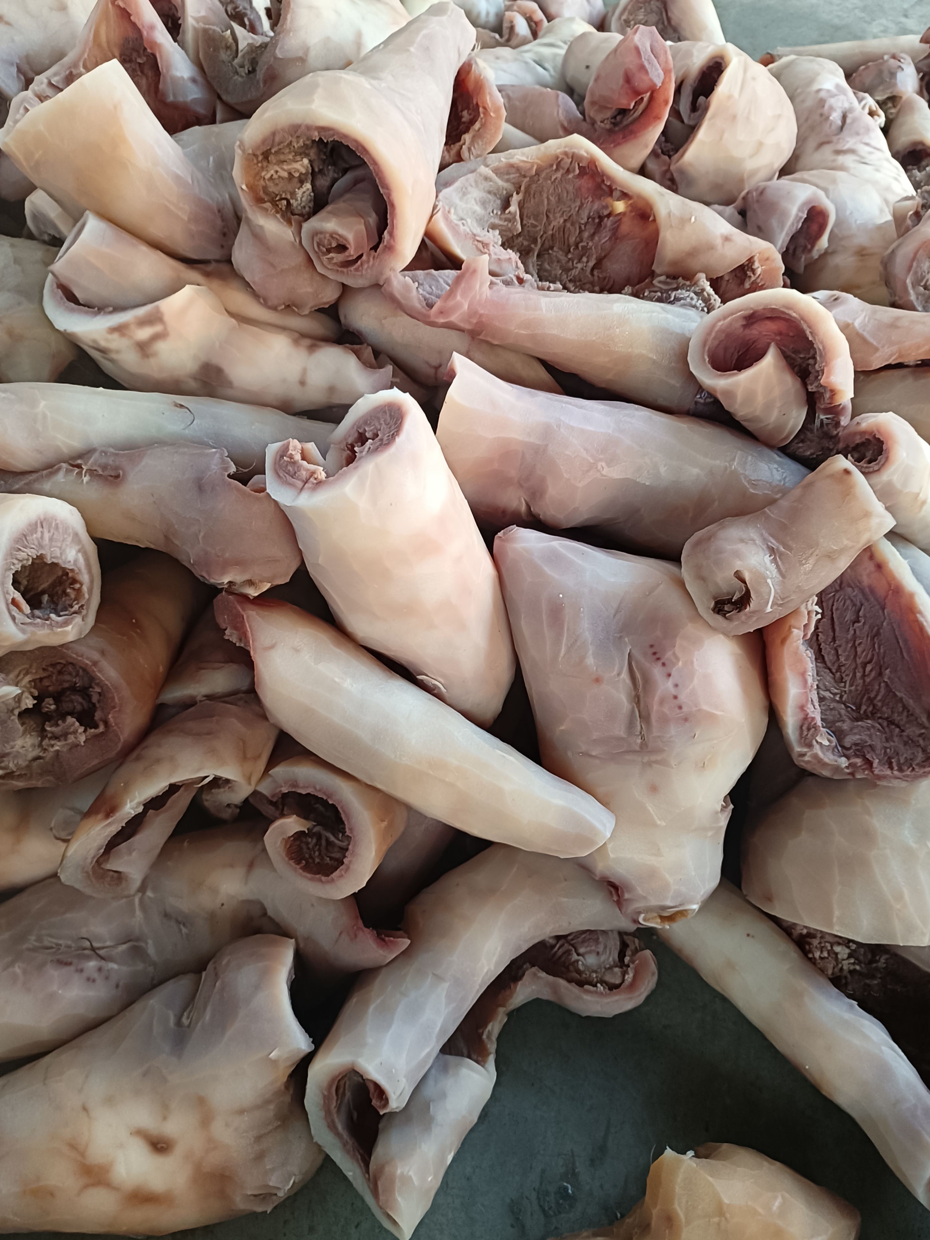 牛皮 带肉牛头皮