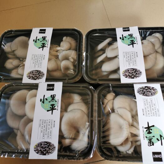 鲜平菇