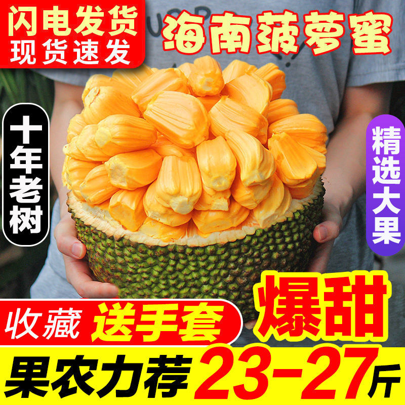 【助农促销】团购海南菠萝蜜果园直发一件代发非红肉微电商供货