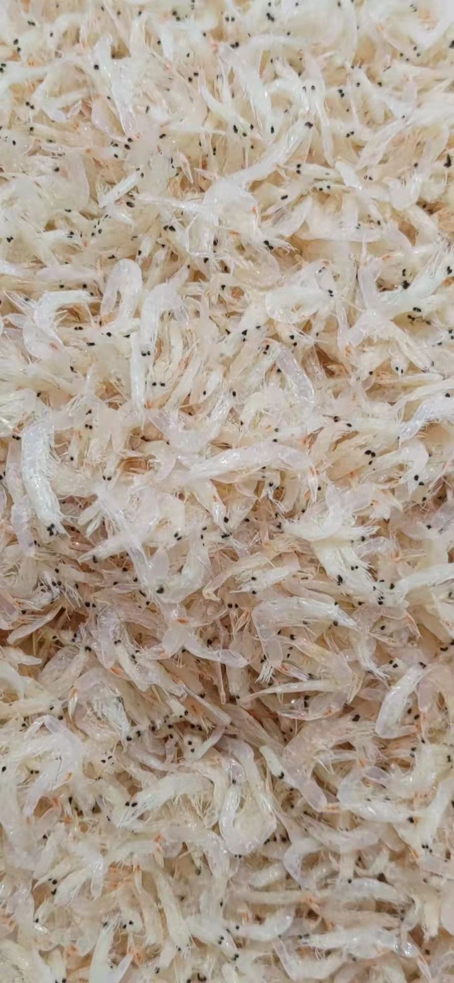 虾皮一件12斤量大从优