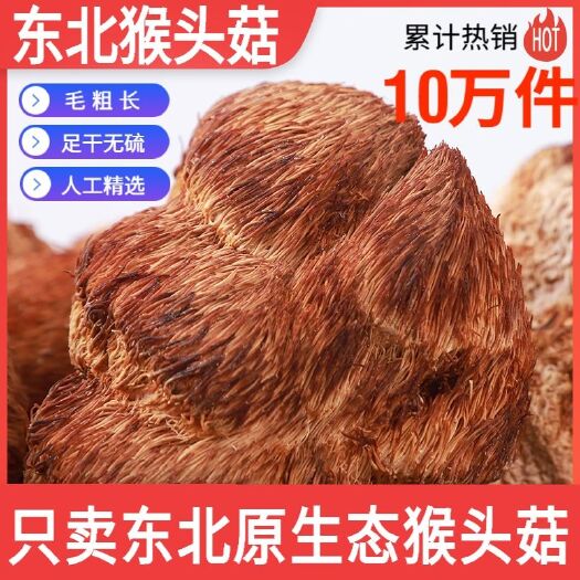 嵩县干猴头菇  野生长毛猴头菇500克农家无污染