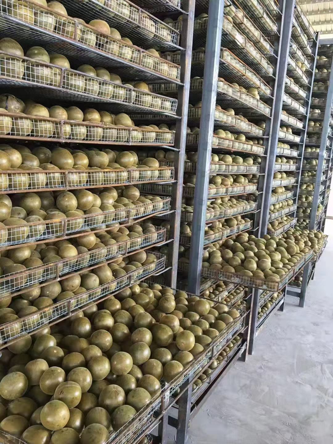 永福罗汉果小罗汉果传统烘烤果批发出厂价广西桂林产地直发