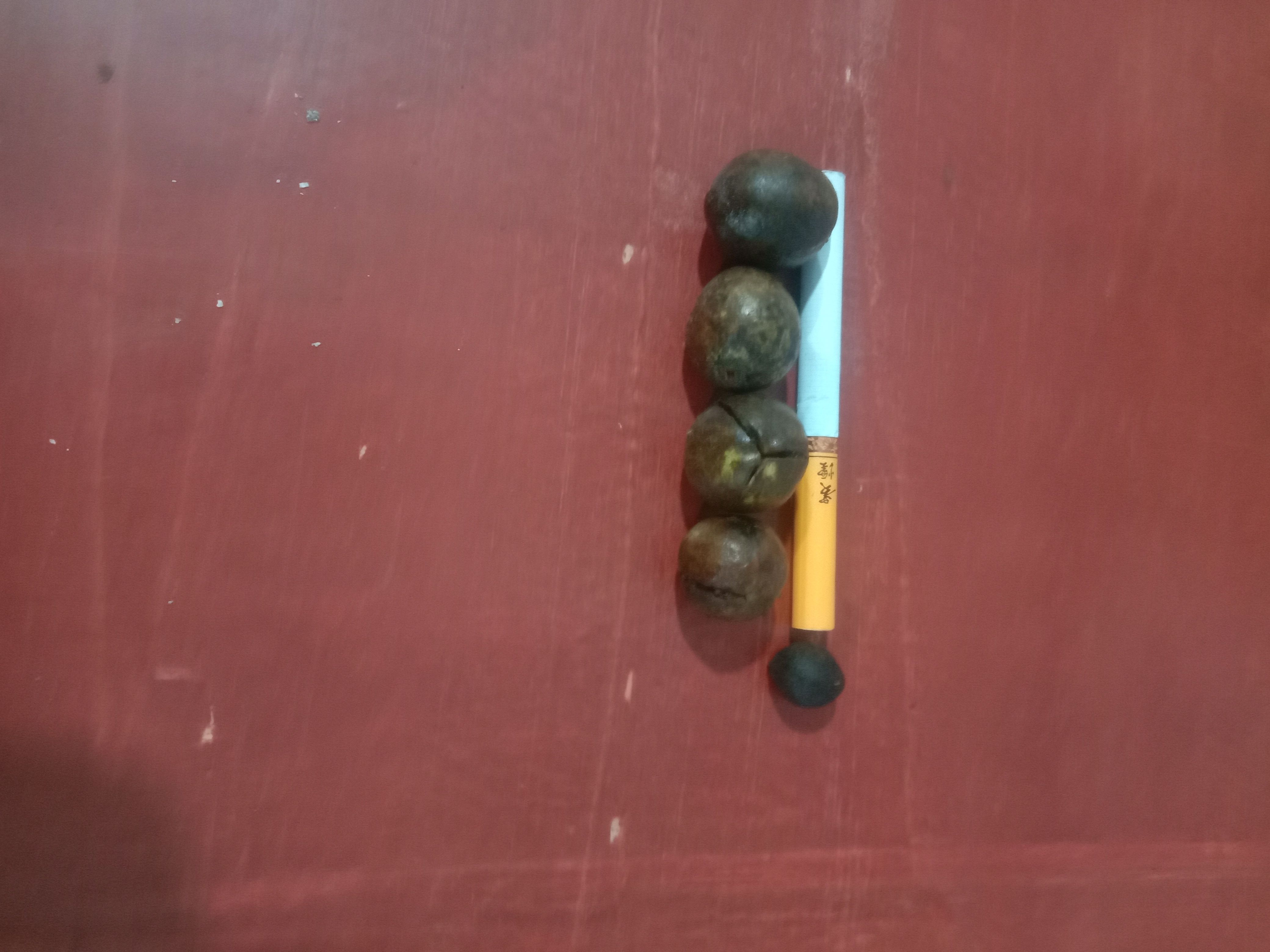 茶叶籽  手工桃选，野生小颗油茶籽，质量保证，味道纯正。