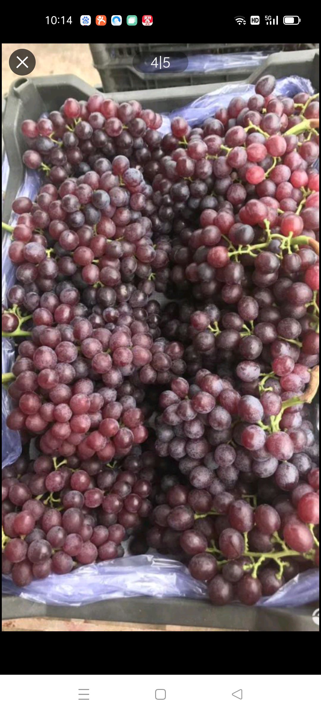  红宝石葡萄，口感，精品