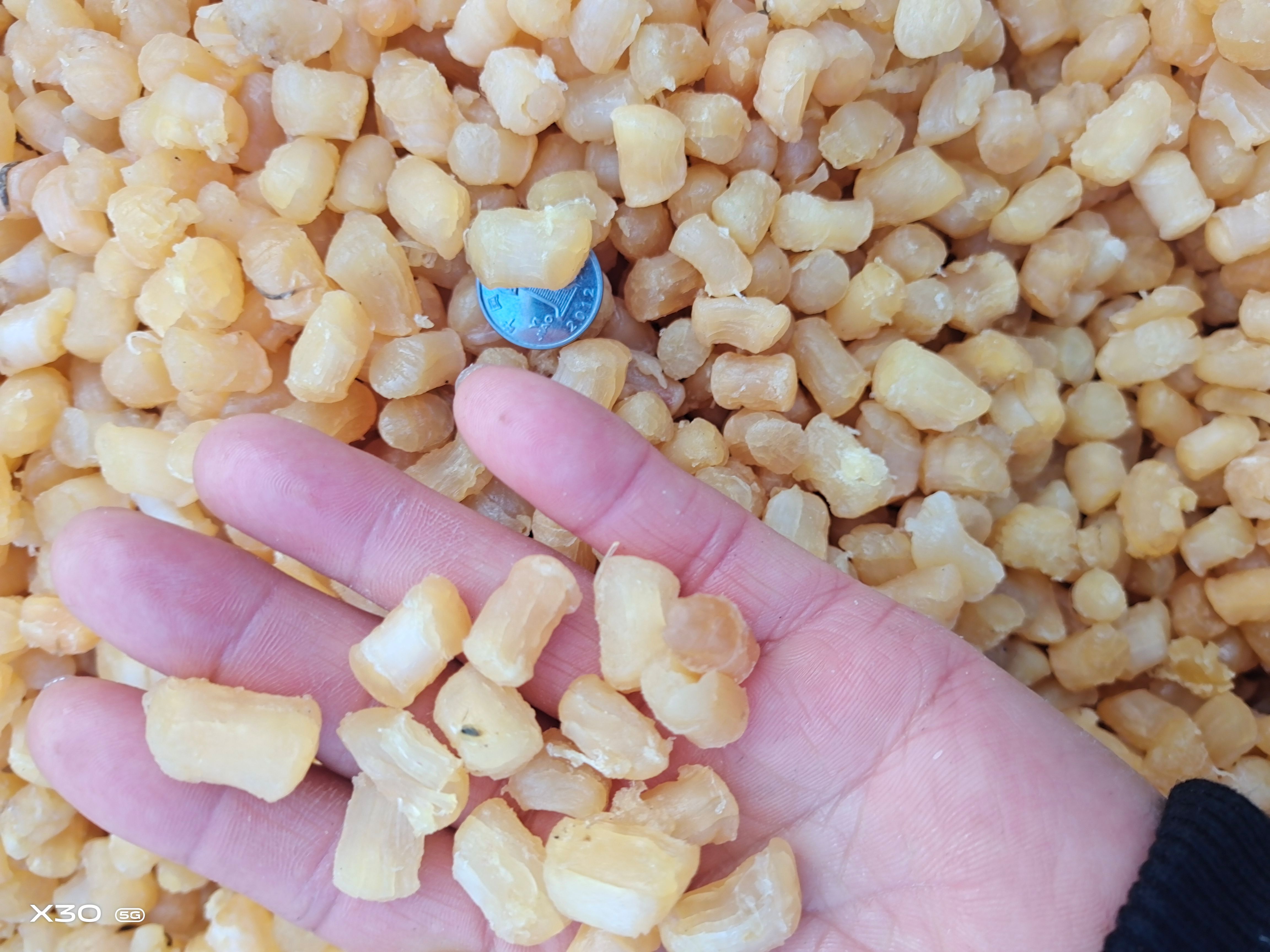 干贝  扇贝丁干度好淡干咸干都有！质量特别好，一手货源无差价