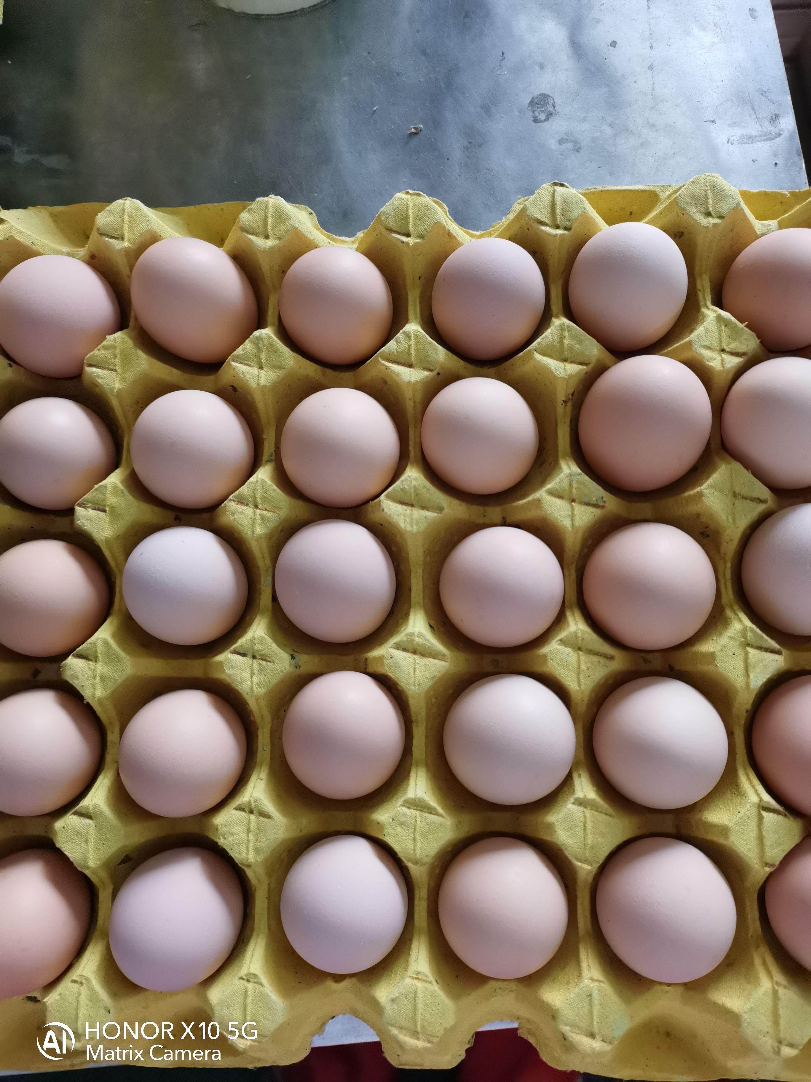 初生蛋  武汉市初生小绿蛋，360枚净28斤左右大量有货可发