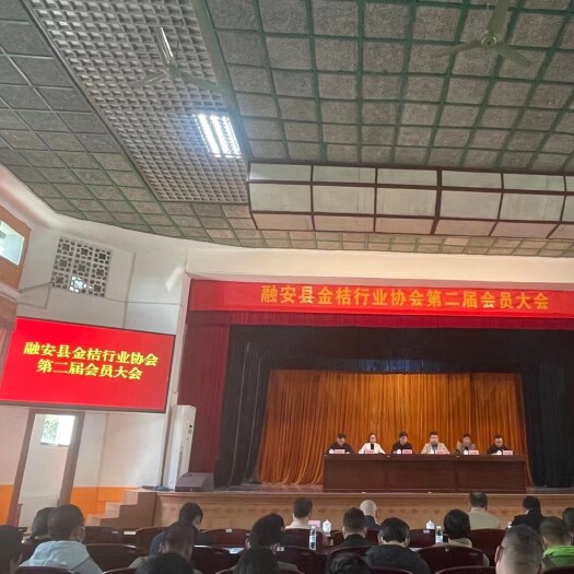 融安县脆皮金桔 广西壮族自治区柳州市融安县 