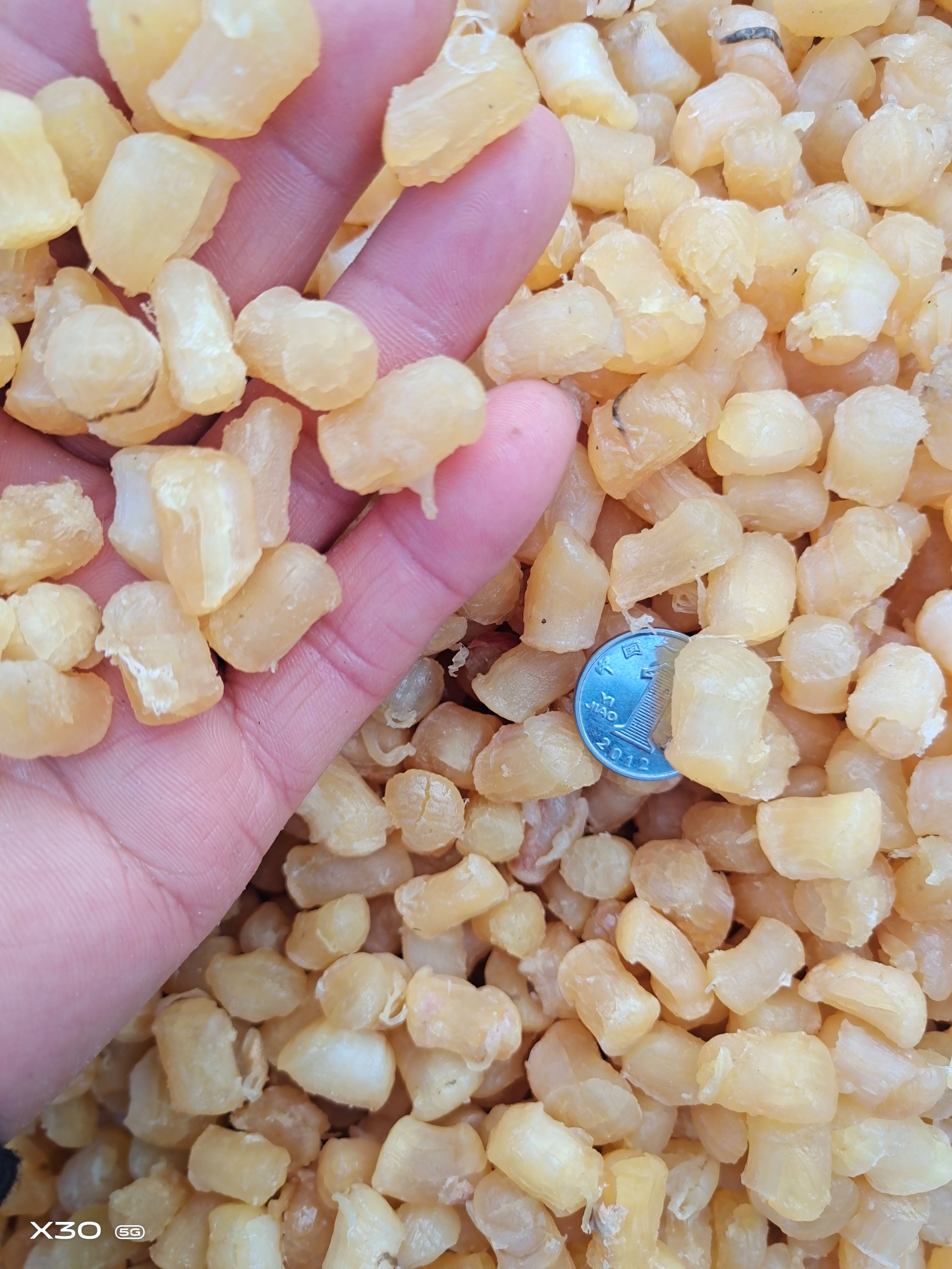 干贝  扇贝丁干度好淡干咸干都有！质量特别好，一手货源无差价