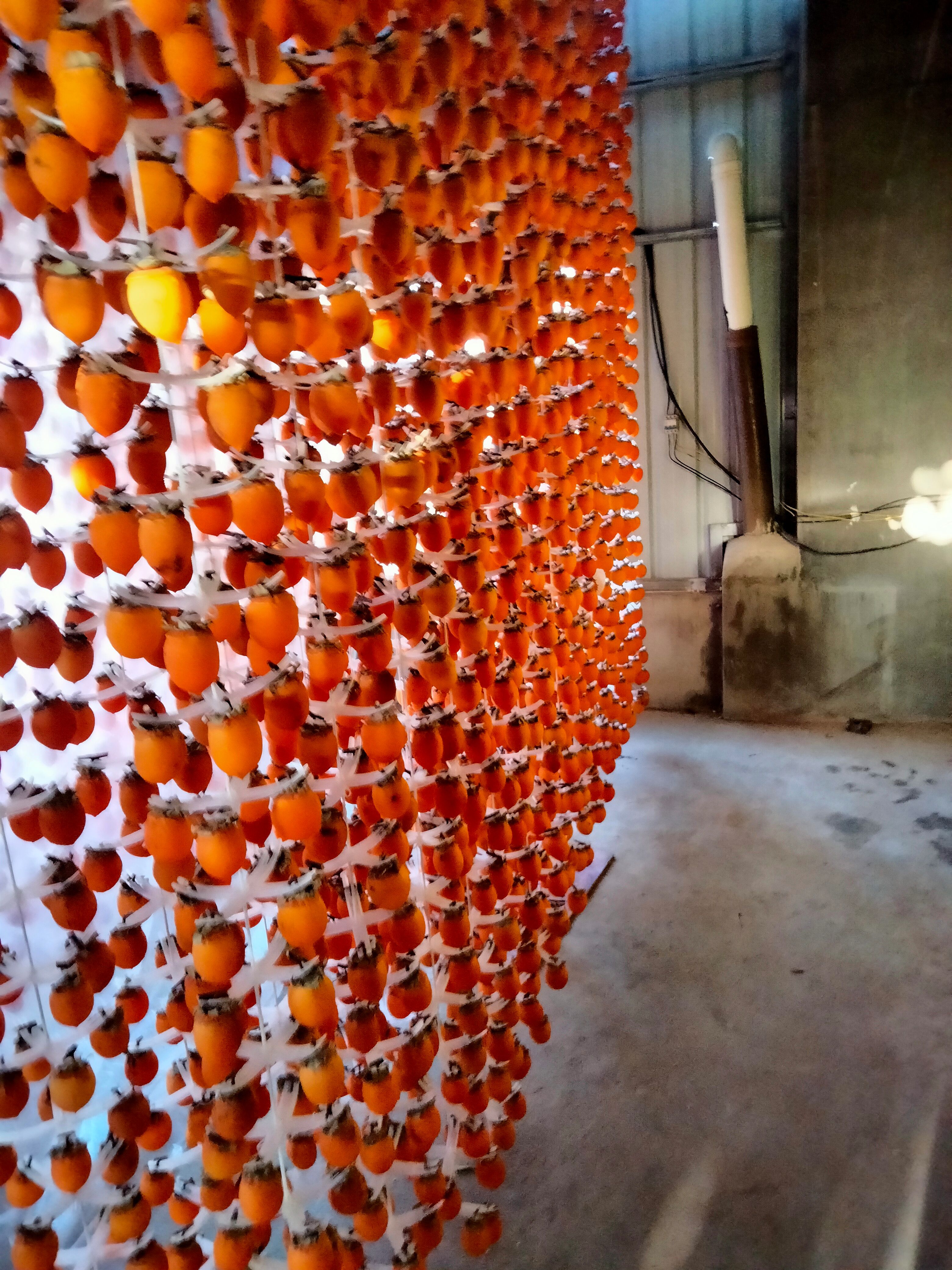 柿饼 陕西省渭南市富平县 3-6个月 2021-11-21 - 2021-11-21