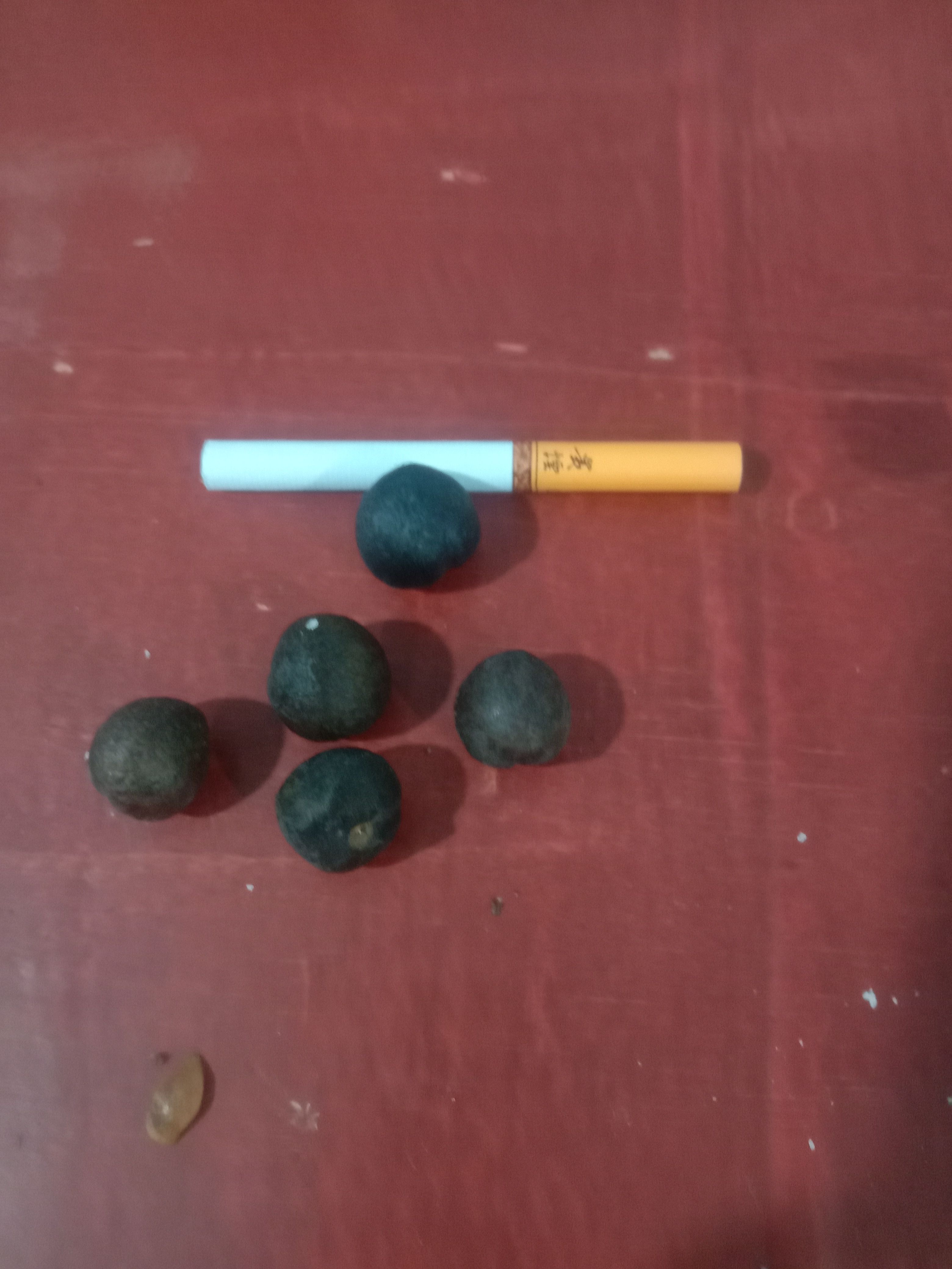 茶叶籽  手工桃选，野生小颗油茶籽，质量保证，味道纯正。