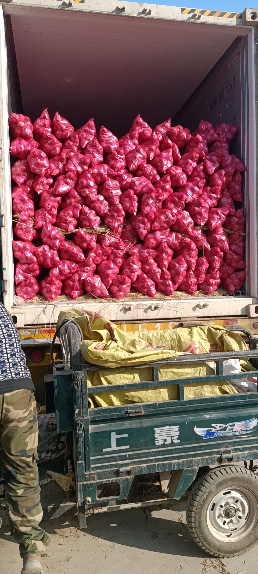 陕西纸夹膜袋红富士苹果大量供应货源充足预售从速欢迎采购