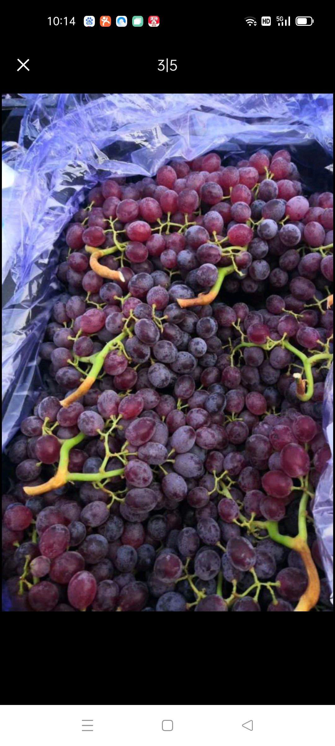  红宝石葡萄，口感，精品