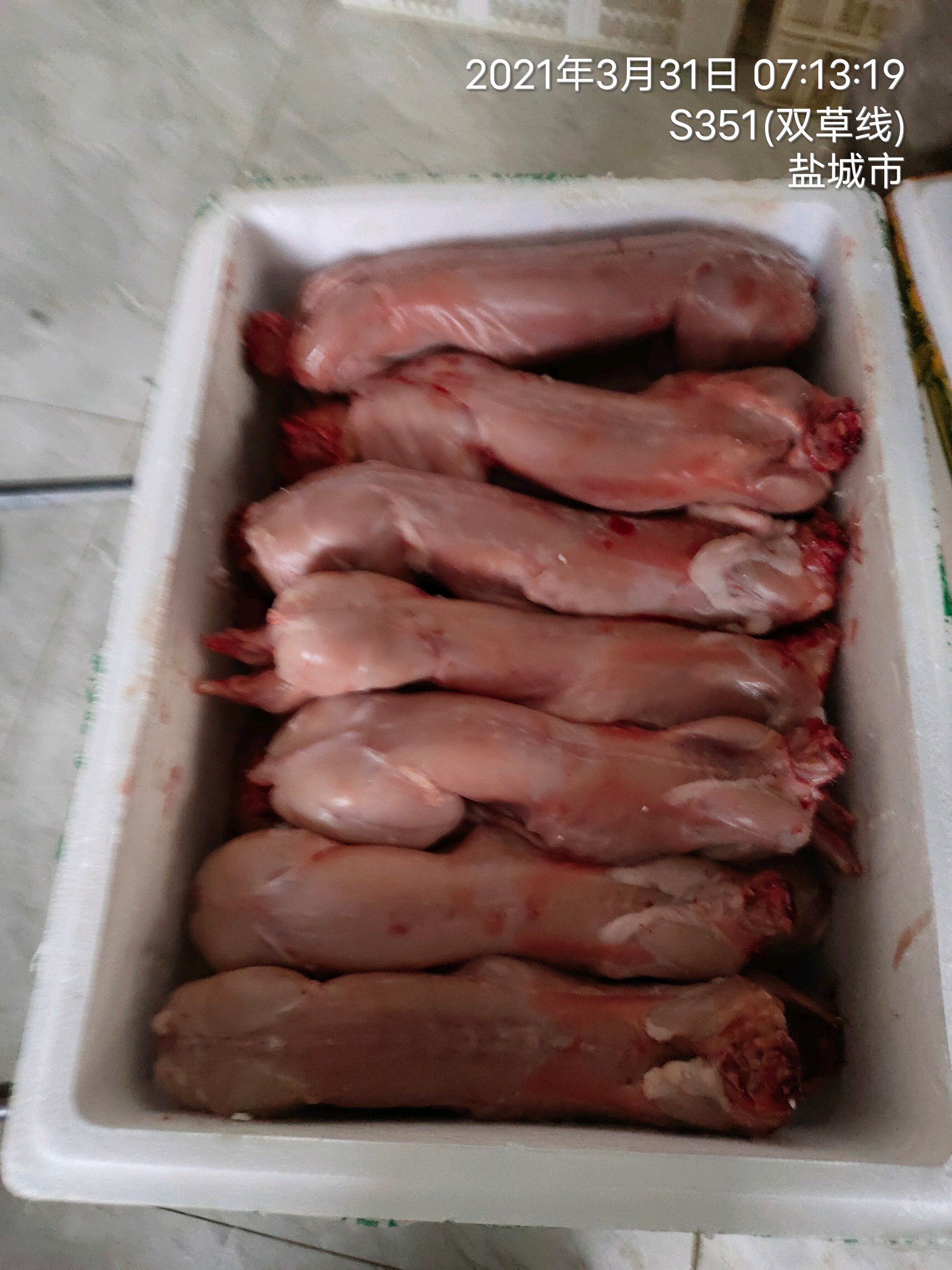 兔肉类  剥皮新鲜白条兔血放血去皮去头去心肝冷鲜兔肉