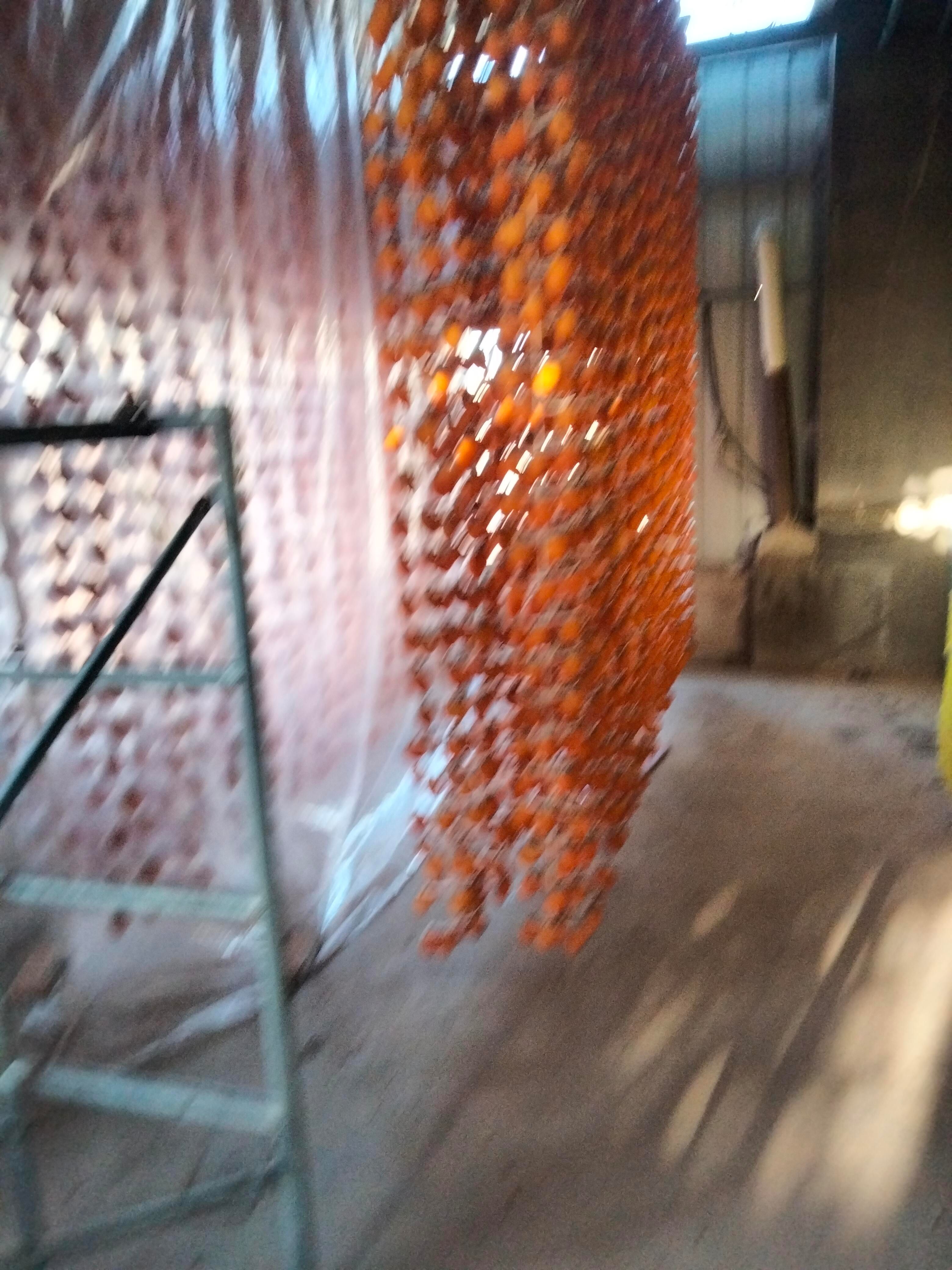 柿饼 陕西省渭南市富平县 3-6个月 2021-11-21 - 2021-11-21