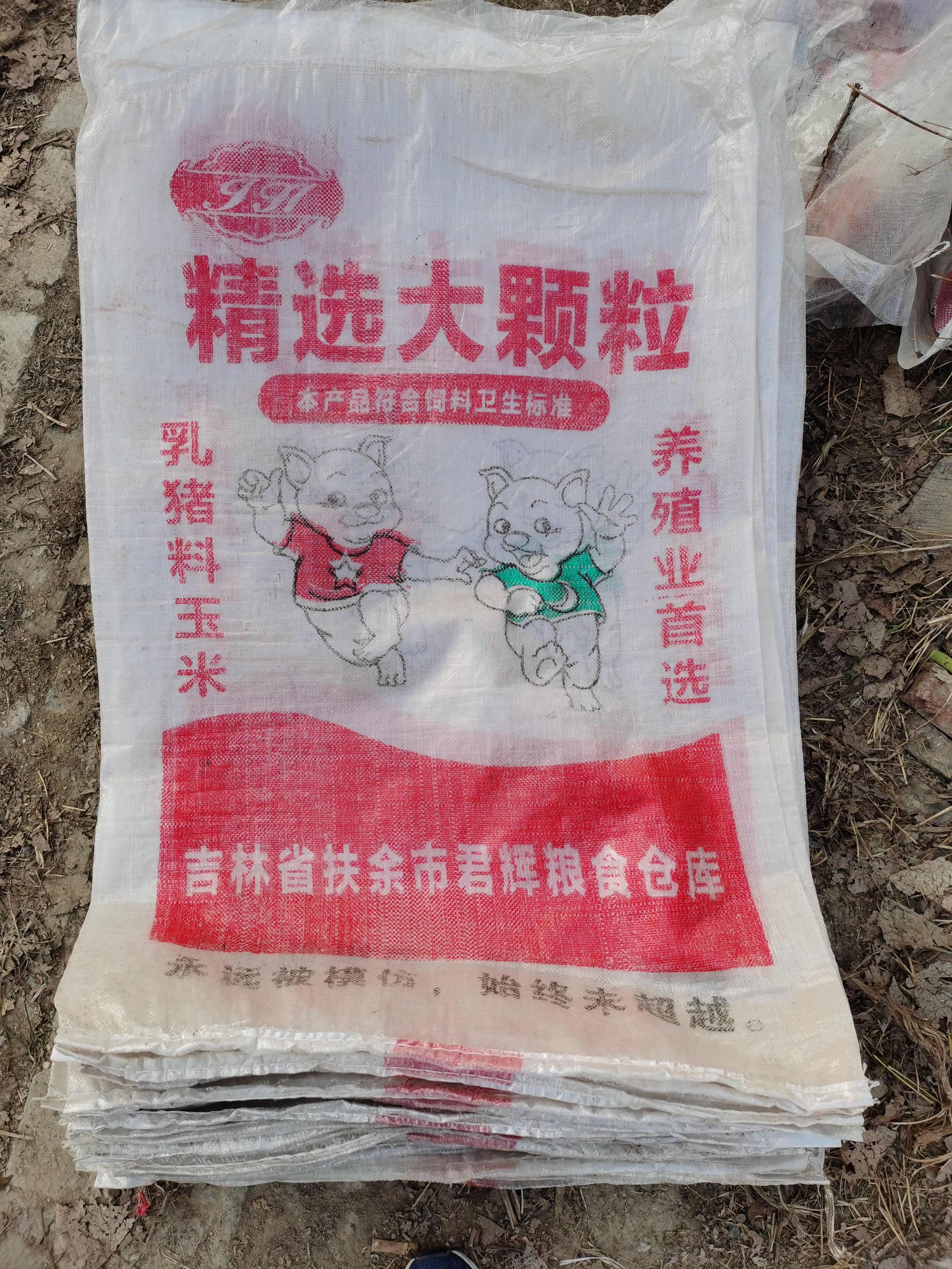 二手编织袋 玉米袋 透明款，60乘100。
