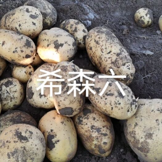 围场县 代办商都，康保，多伦基地微七，微八，大丰十，希森六，本地希六