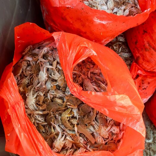 青岛 沙蟹  有货  要的联系
