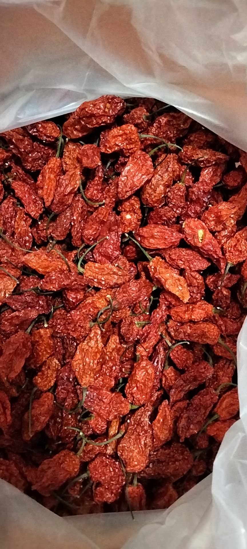 魔鬼辣椒，刷刷辣