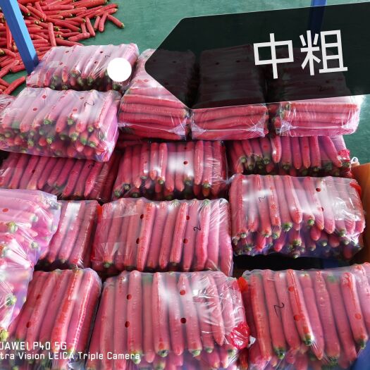 长沙秤杆红萝卜  大荔水洗红萝卜
