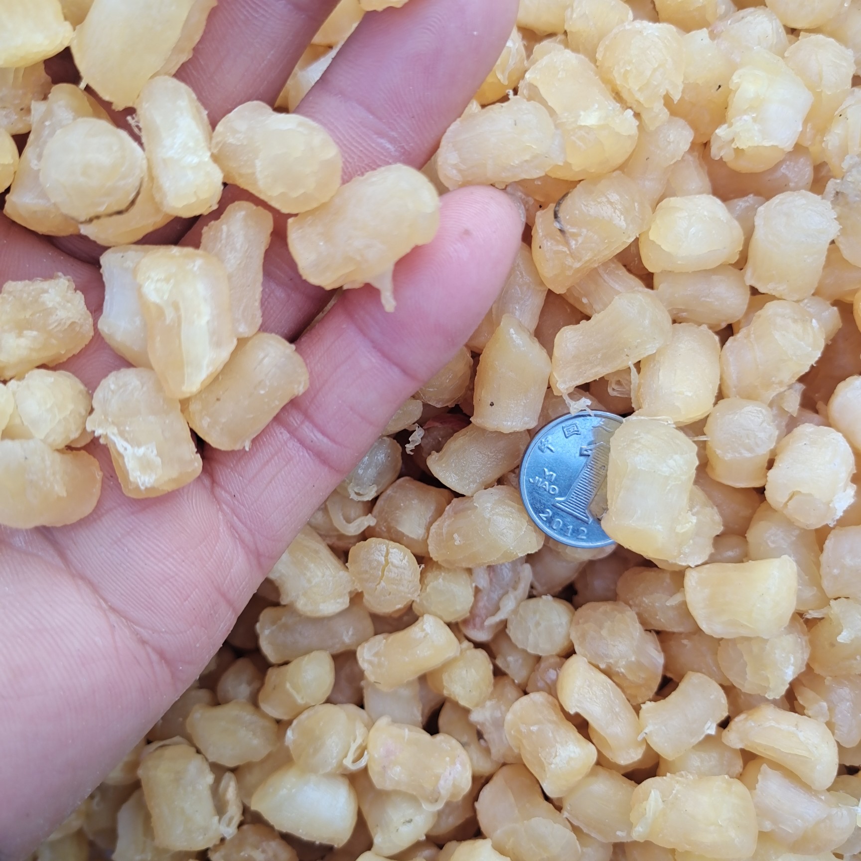 干贝  扇贝丁干度好淡干咸干都有！质量特别好，一手货源无差价