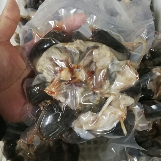 龟肉 中华草龟肉 去皮净龟肉