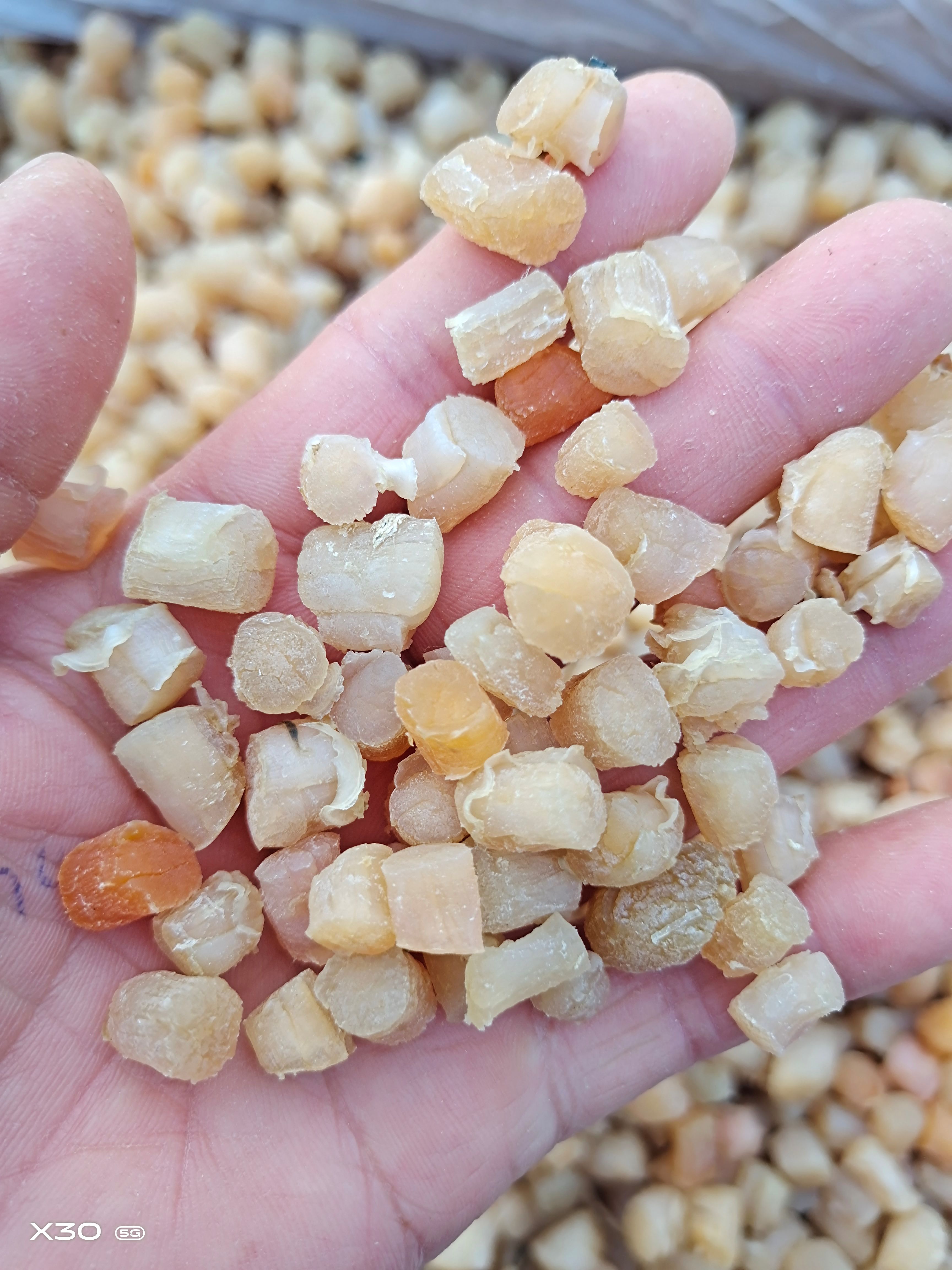 干贝  扇贝丁干度好淡干咸干都有！质量特别好，一手货源无差价