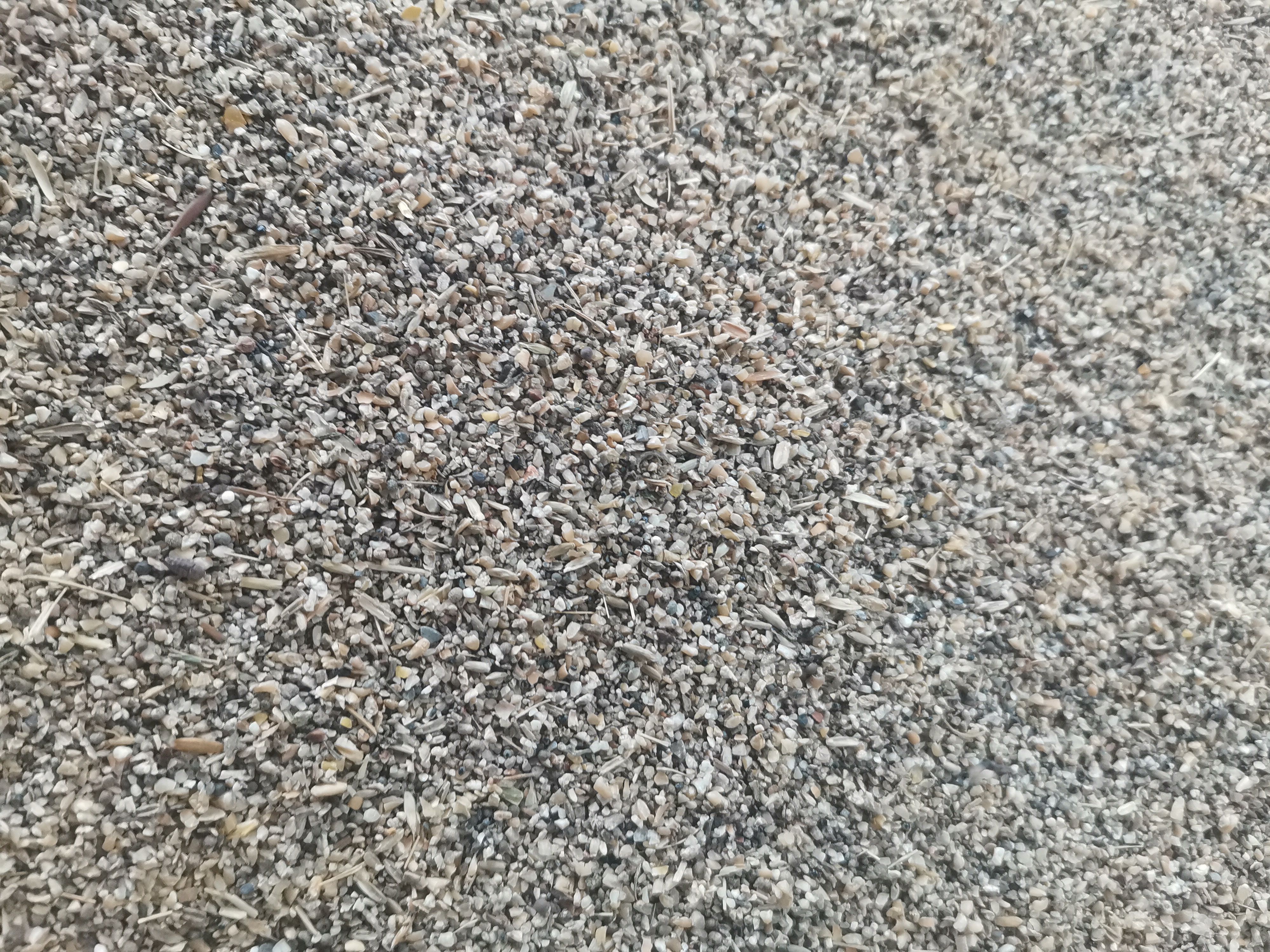 碎麦 草籽麦，长年有货，支持全国发货。