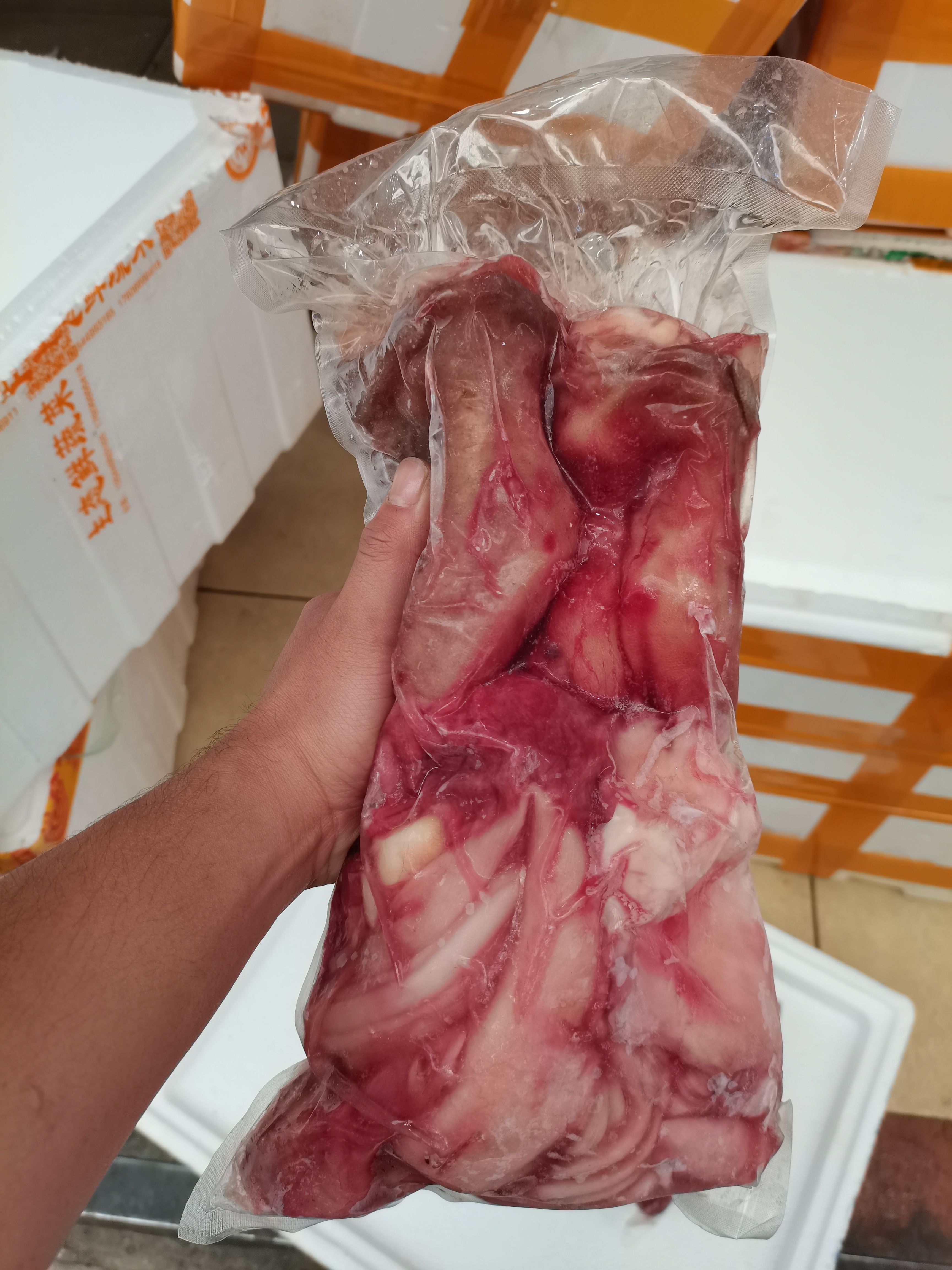 鸵鸟肉  鸵鸟掌