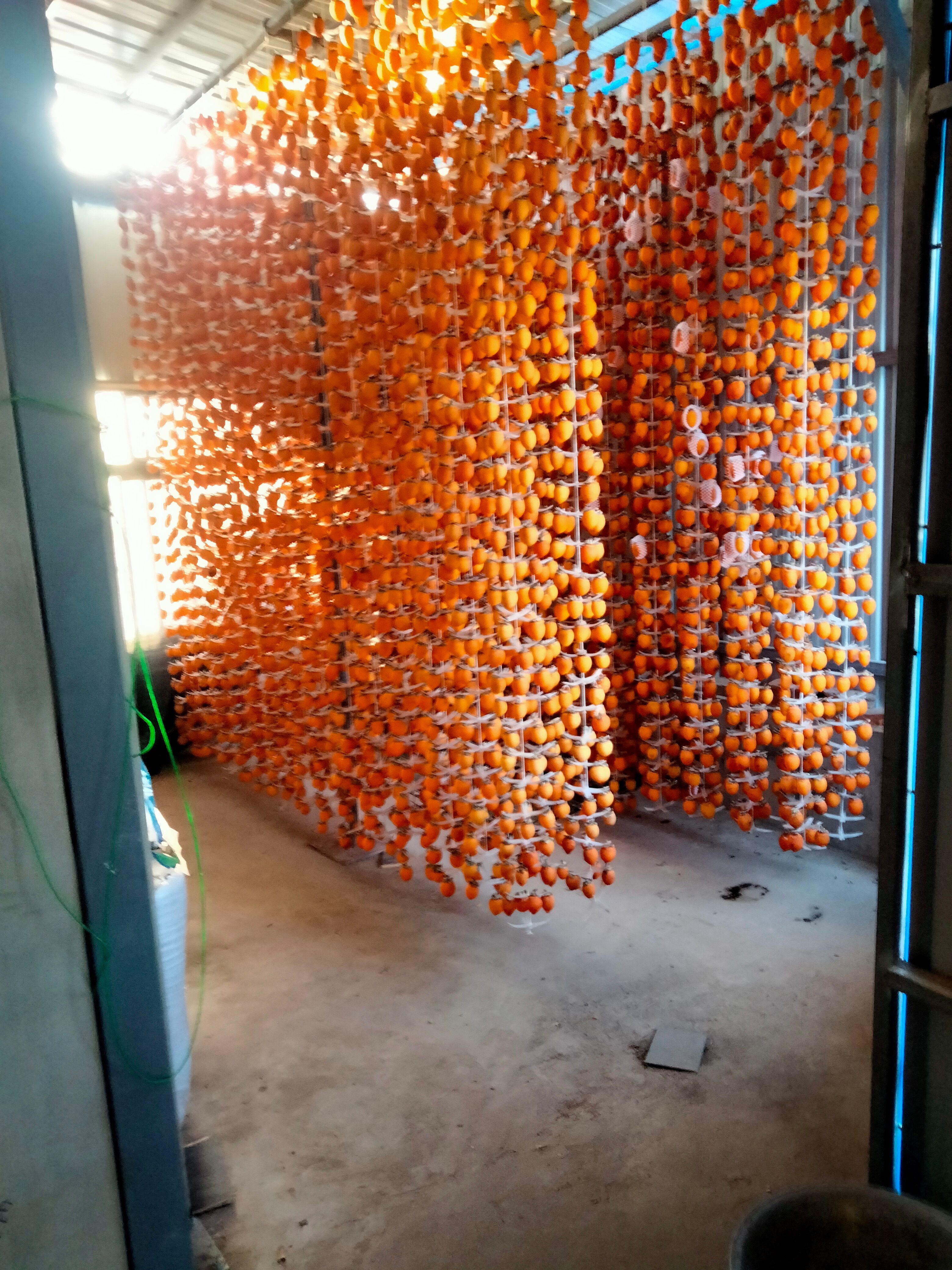 柿饼 陕西省渭南市富平县 3-6个月 2021-11-21 - 2021-11-21