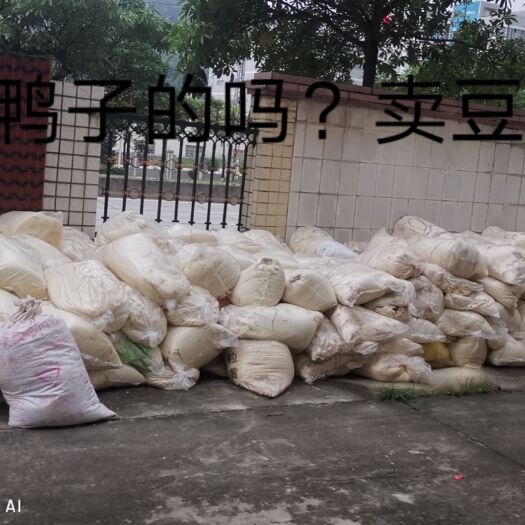 东莞市 新鲜豆腐渣。日产几十吨，喂养鸡鸭鹅鱼的好材料。