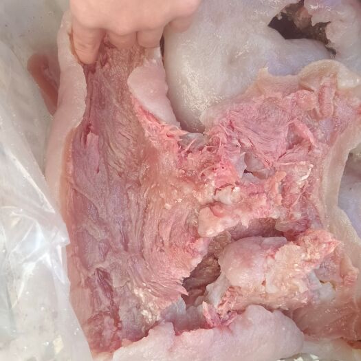 阳信县牛皮  熟牛头皮，带肉牛头皮，但不是全都一张皮上都带肉带肉是