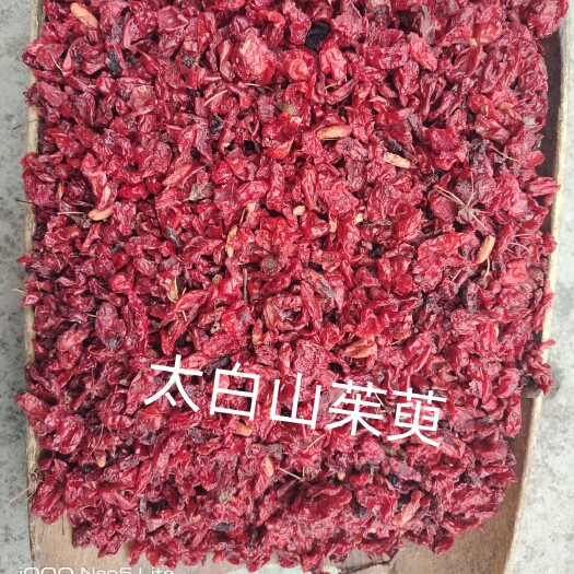 太白县陕西太白山茱萸，现代化烘干技术。
