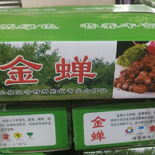 石家庄 速冻金蝉