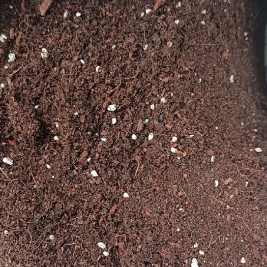 新沂市泥炭土  育苗基质 草莓西瓜水稻蔬菜育苗