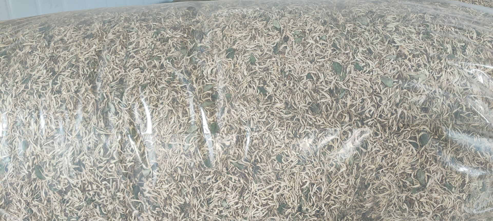  金银花  北花一号  混货