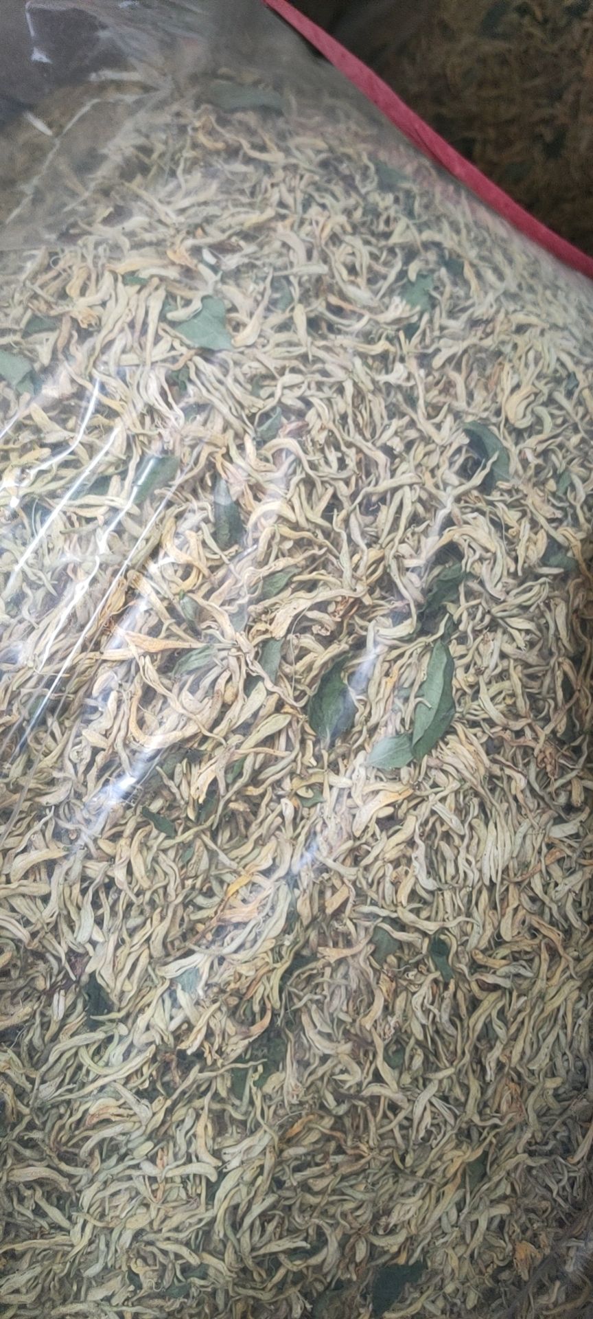  金银花  北花一号  混货