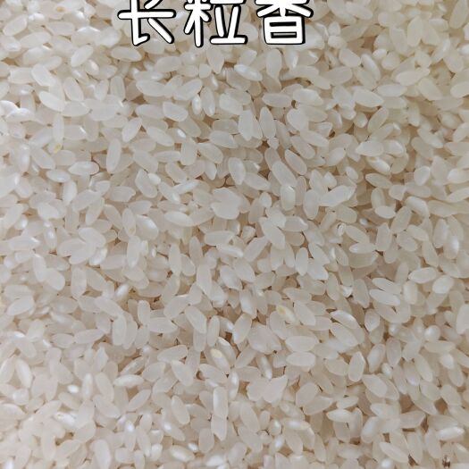 同江市 长粒香