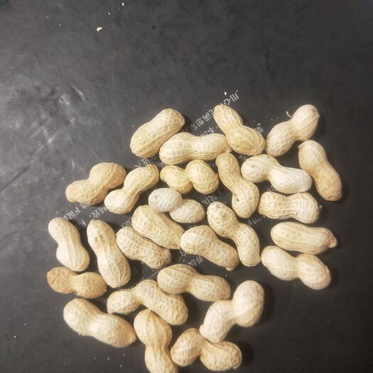 河间市花生米 自家种植小豆花生，干净，无杂质，