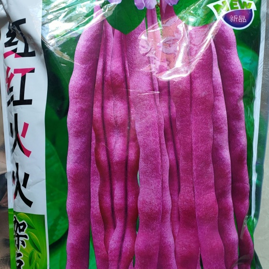 绵阳早熟红架豆种子红四季豆种子红芸豆种子老山豆种子