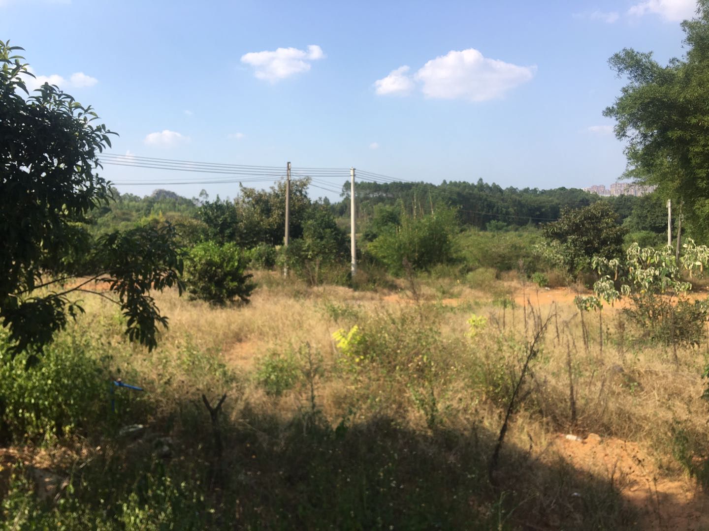  广东韶关曲江56亩旱地15年