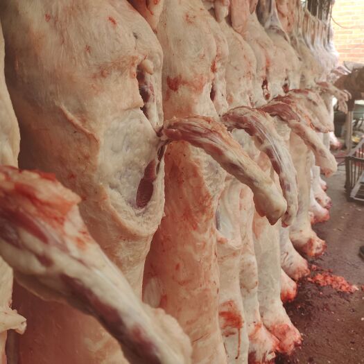 羊肉  带骨，去骨腿肉
