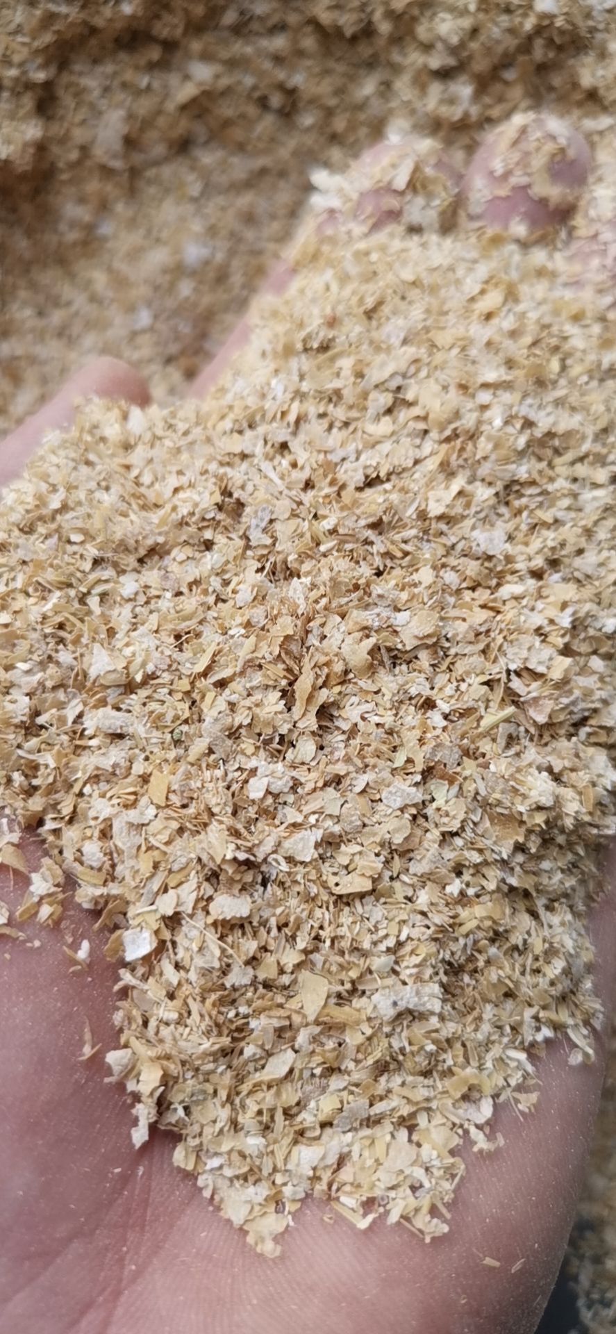 大量生产及批发优质糠麸价格优惠，欢迎咨询。