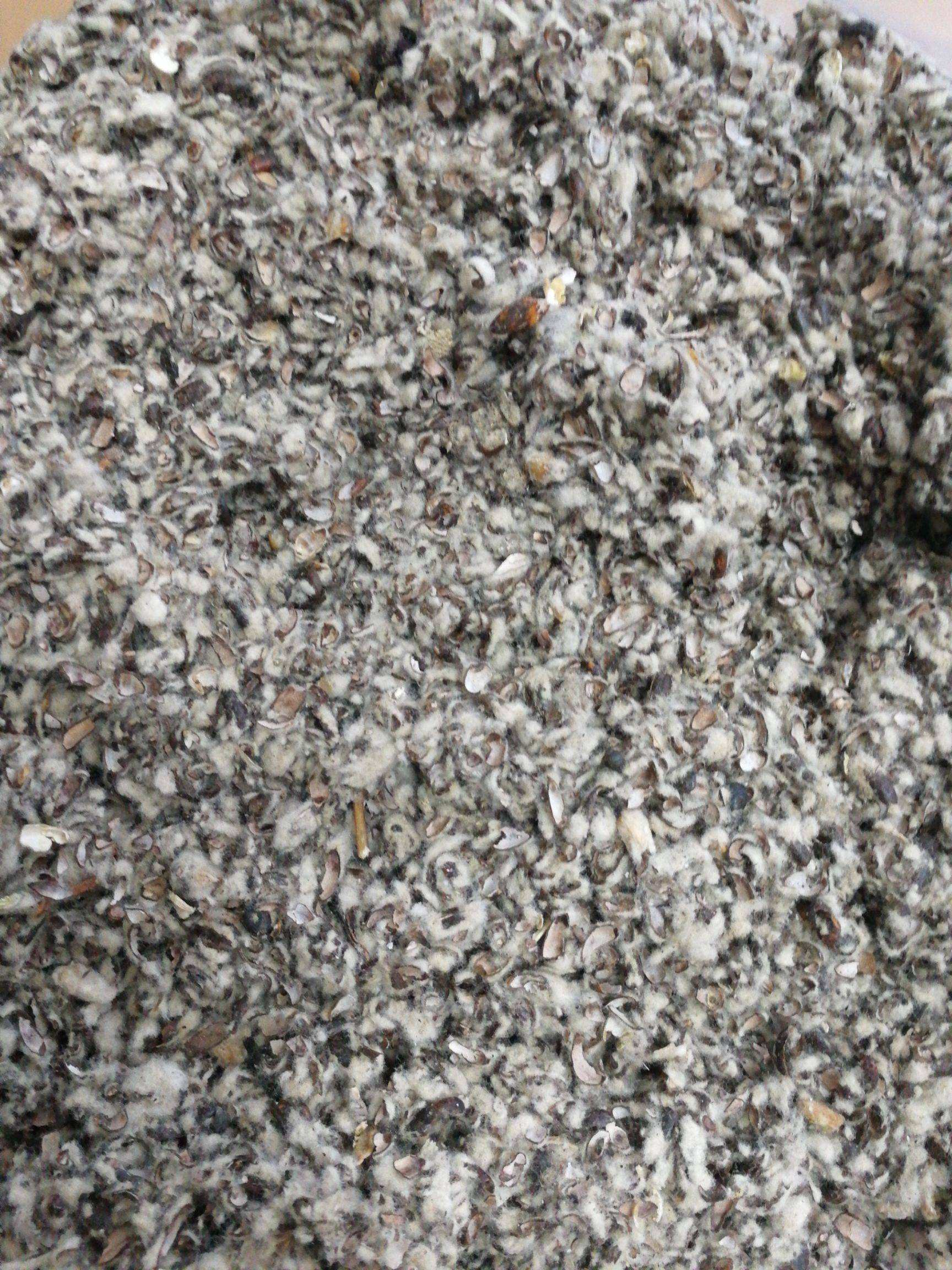 棉籽壳,新疆喀什发货